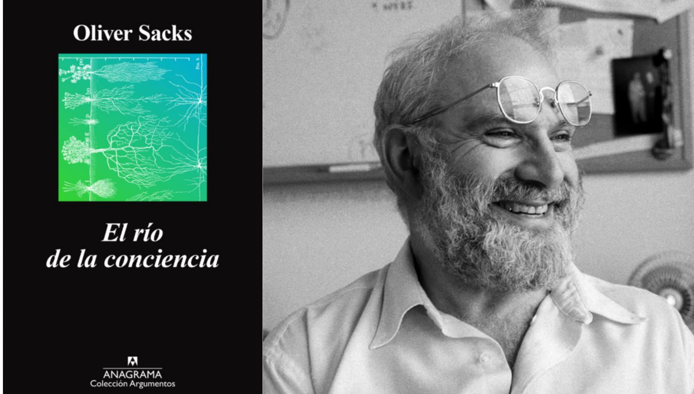 El río de la conciencia